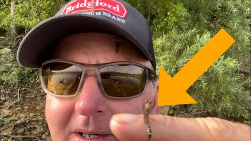 You Guys Won’t Believe This Mayfly Hatch Pattern…(On The Water)