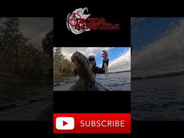 Northwoods Smallmouth On A Glide Bait! #shorts