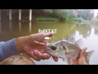 The Bass turn on! - Fishing Australia