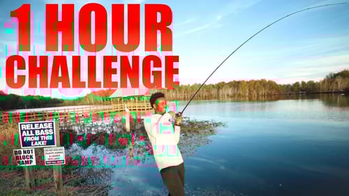 1 HOUR ONLY TROPHY Fishing CHALLENGE At A STOCKED BASS POND (BIG BASS)