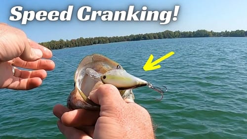 Speed Cranking! Stop Ignoring This Technique! It’s So Good!