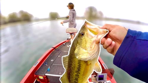Searching For BIG BASS Up Shallow | Bed Fish STRIKES and EATS Yamamoto Senko Underwater!