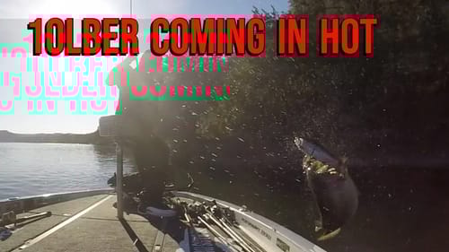 10lber in 7 seconds on the Hinkle Trout Swimbait
