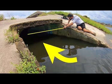 You WONT BELIEVE what lives in this STORM DRAIN!! (MASSIVE)