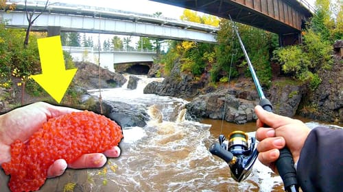 Fishing Flooded URBAN Rivers w/ NASTY Bait!!! (Surprising)