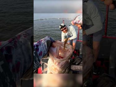 This Lure Wasn't for Bass… But It SLAYS Them!