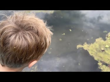 Fact… Bass Spawn In The Summer And Fall Also..