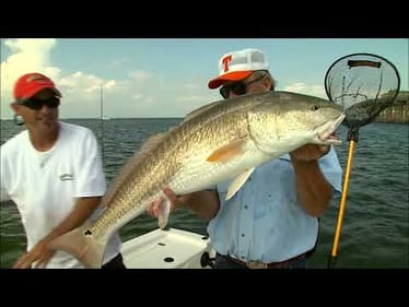 Big Bulls at Destin | Bill Dance Saltwater (Full Episode)
