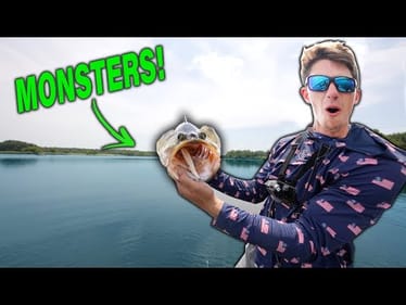 Most RIDICULOUS Day Of Summer Fishing I've EVER Had! (Jerkbait MADNESS)