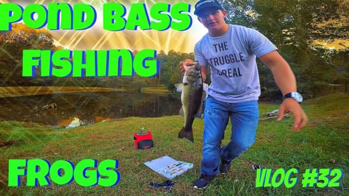 Pond Bass Fishing ~ Topwater Frogs Vlog #32