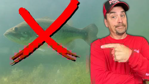 This Rig Can Be Fatal to Bass (By Accident) - How to Fix It