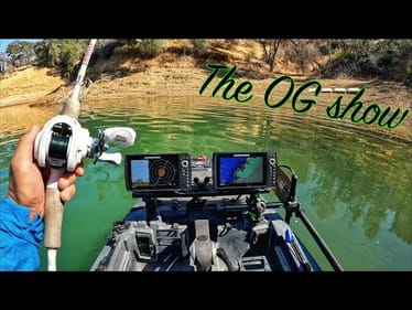 Big Walking baits for Angry bass