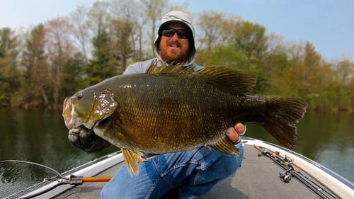 GIANT Bass In A Lake Full Of Predators!
