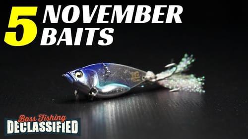 DON'T Go To The Lake In November WITHOUT These 5 Baits!