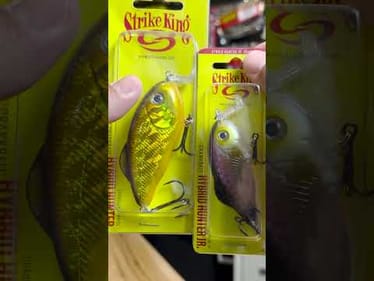 FISH IT or DITCH IT (ep. 2) - The Hybrid Hunter