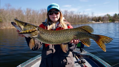 How To SMASH Cold Water Pike!