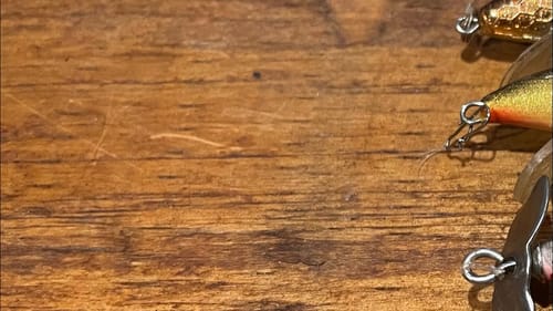 The 3 Best And Most Forgotten Springtime Topwater Lures