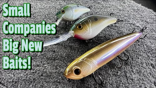 Small Companies Make Killer Baits
