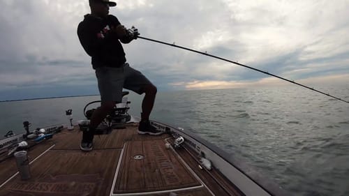 Muskies get it too - A Glimpse of what's to Come