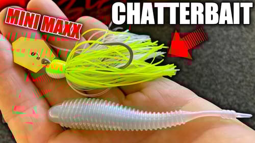 The Only CHATTERBAIT for Winter Fishing
