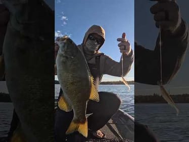 Don't Horse The BIG Ones! 👀