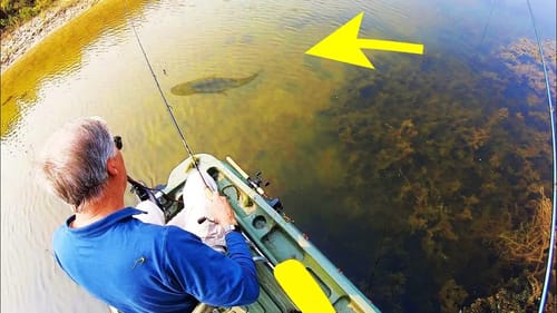 INSANE FARM POND has MONSTER FISH!!