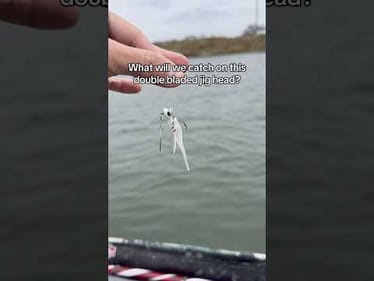 What will this lure catch me?! #fishing