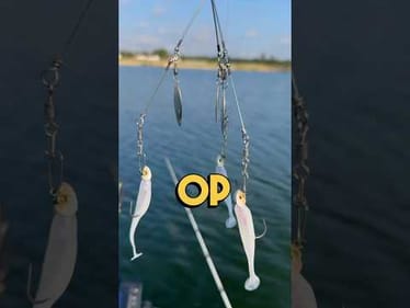 Is the A-Rig the Most Overpowered Fishing Lure on the Market?
