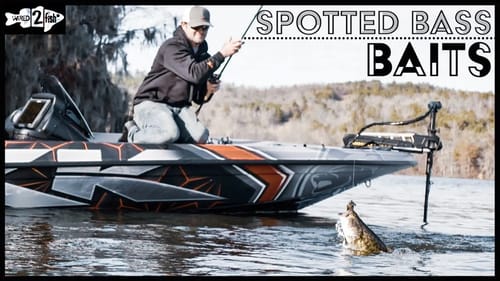 3 Go-To Baits for Spotted Bass (Top To Bottom)