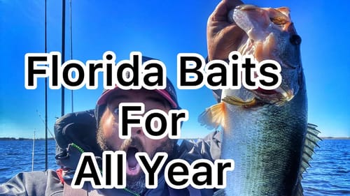 The Florida Baits that You ALWAYS Need