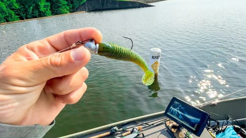 I Caught SO Many Fish I Felt Like a Pro!! Afternoon Summer Fishing (livescope)