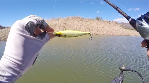 Mystery Bass Tackle Time Challenge