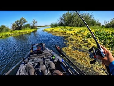 The sad truth about the California Delta