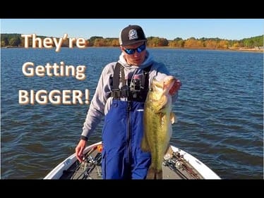 Cold Front Bass Fishing: Jigs in Offshore Brushpiles