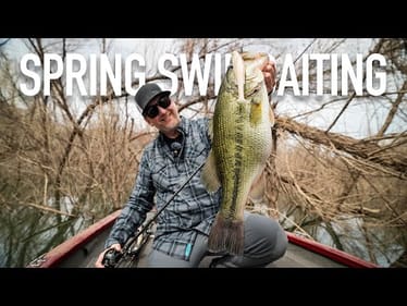 Why This Japanese Soft Swimbait Will Always Catch Big Fish During The Spring! It's Too Easy!
