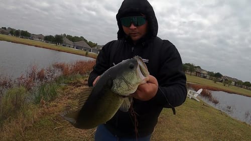 Fall Time Bassin', this time, with big glides! (S-Waver and Chad Shad)