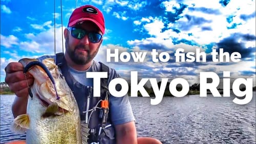 Does the Tokyo Rig Catch Giant Bass?? - How to Fish the Tokyo Rig - Bass Fishing