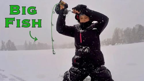 SURPRISE Multispecies Fishing Northern Lake - Crappie & More!