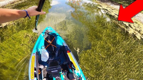 TOPWATER Kayak Fishing SUPER Clear Water! (Surprise Fish Catch)