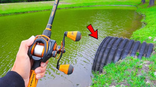 Catching GIANT Bass on BIG Topwater! (Summer Bass Fishing)