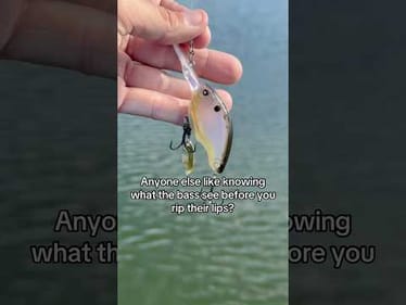 Always have to check out the action! #bassfishing