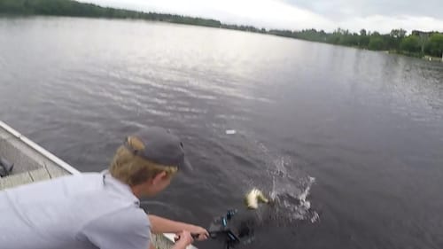 Cold Front Bass in Grass (BIG NEWS!)