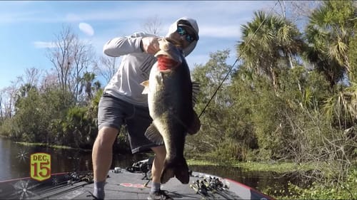 Crews catches biggest bass of 2019 (11 pounds, 2 ounces)
