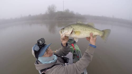 Small Pond with Big Bass