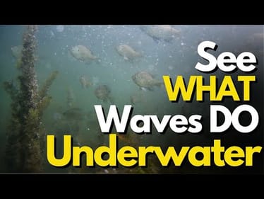 Underwater Footage of HOW Waves Affect Bass Fishing