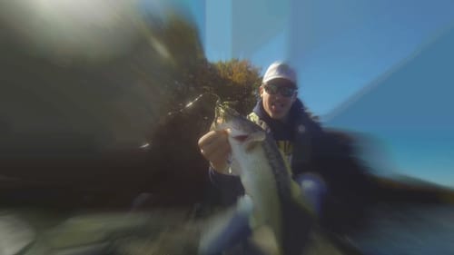 Good Year of Bass Fishing "2013"