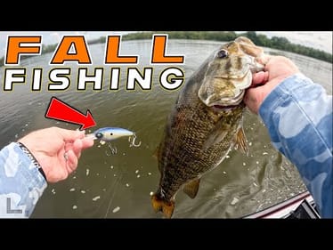 Bass Fishing WITHOUT Electronics! How To Read The Water And Catch Fish!
