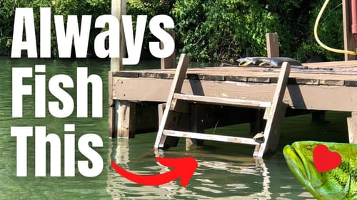 LADDERS May Be YOUR KEY To Catching More BASS