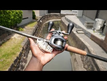 Fishing Japan's URBAN TINY Creeks For AGGRESSIVE Fish!
