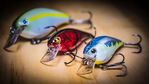 Crankbait Tricks For Early Fall Bass